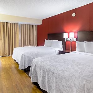 Two-Room Suite