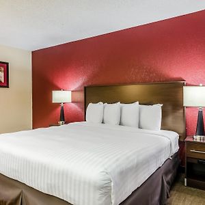 Two Room King Suite